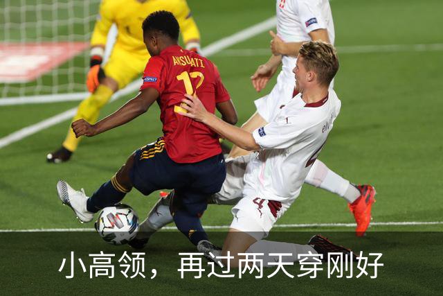 小高领，再过两天穿刚好