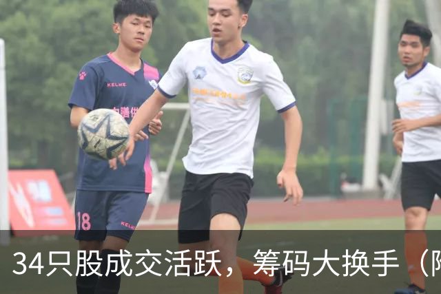 34只股成交活跃，筹码大换手（附股）